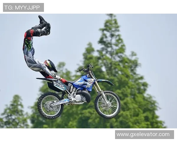 武汉极限运动队的转型之路与挑战分析探讨