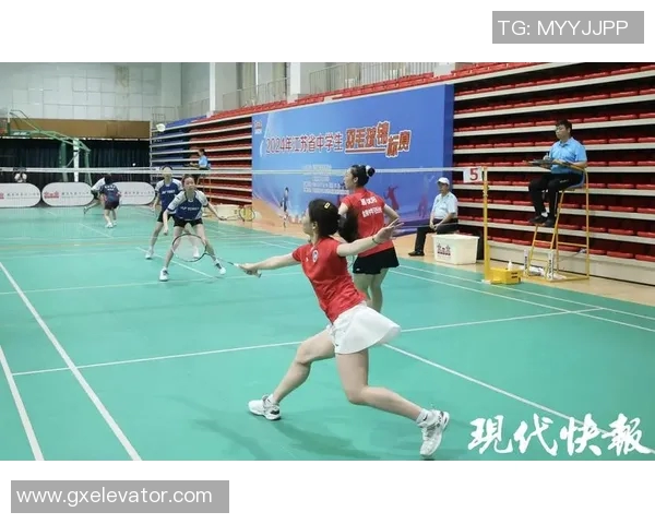 南京羽毛球队实力分析与发展潜力探讨聚焦羽毛球运动的未来之路